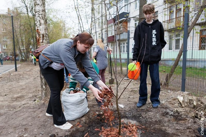 Источник: st.cherinfo.ru