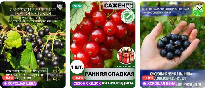 Воображение не поражает, но может порадовать урожаем | Источник: Wildberries