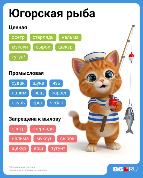 Источник: Мария Романова / Городские медиа