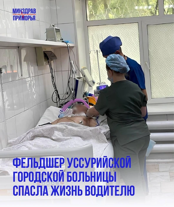 Шершень как причина ДТП: ужаленный водитель потерял сознание за рулём из-за отёка Квинке  | www.fontanka.ru