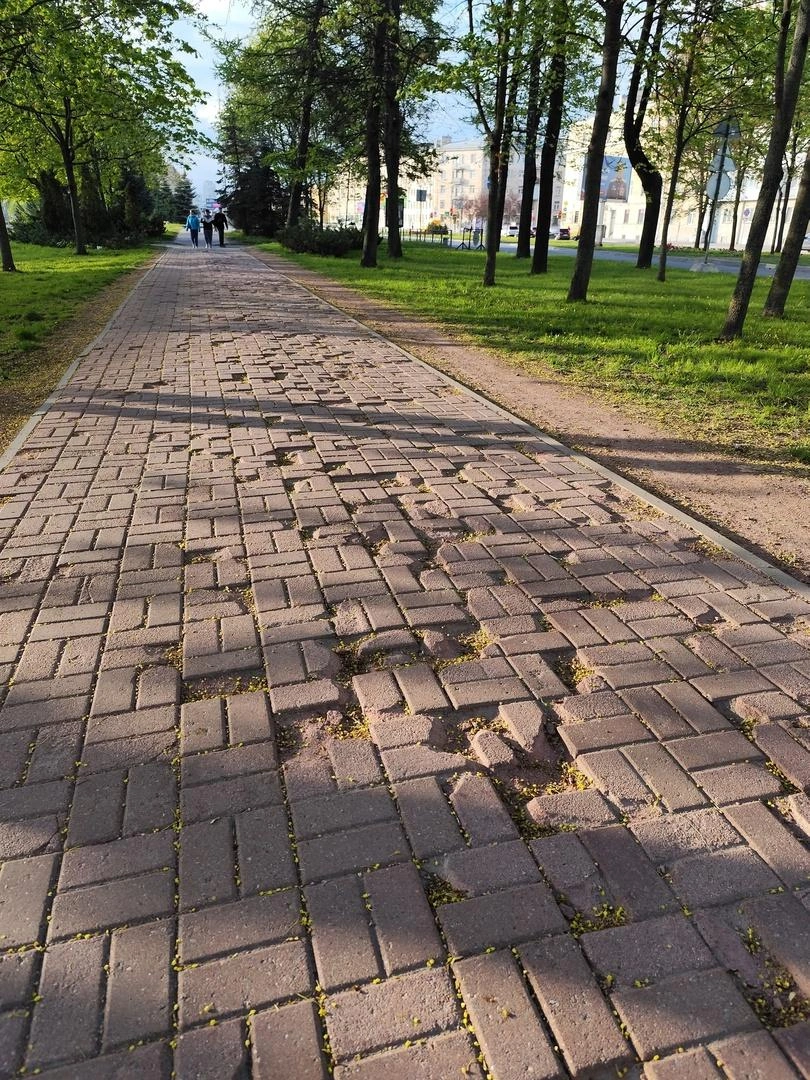 Побитые жизнью тротуары | Источник: Аркадий Каюгин