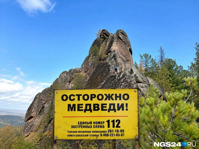 Красноярские Столбы закрыли из-за медведей | Источник: Алексей Тайганавт / NGS24.RU