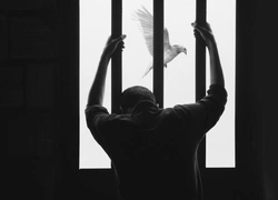 Конституционный суд Кыргызстана отверг инициативу президента о возвращении смертной казни