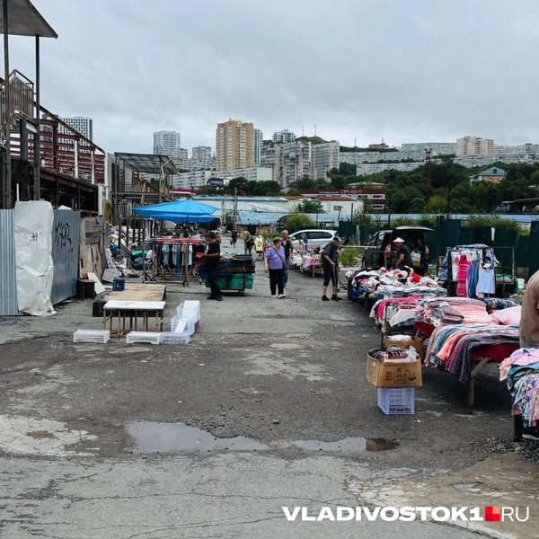 Источник: Елена Буйвол / VLADIVOSTOK1.RU