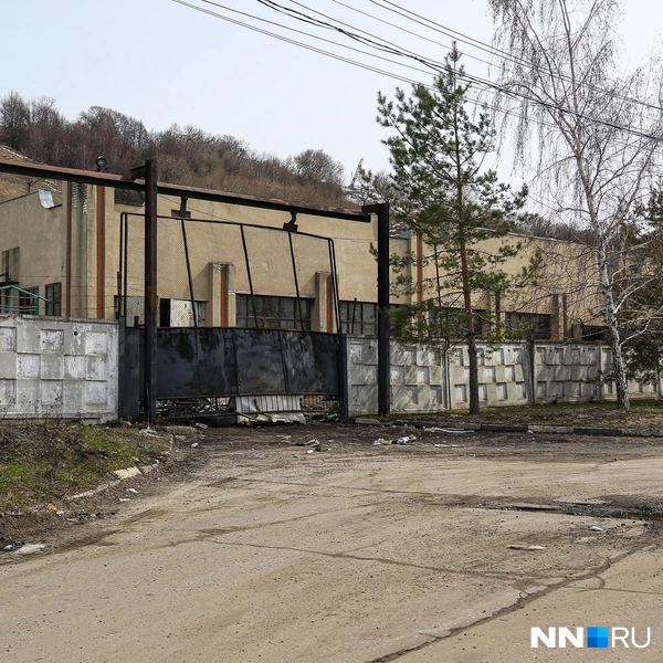 Источник: Наталья Бурухина / NN.RU