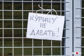 Амуру нельзя курицу&nbsp;— у него аллергия | Источник: Тимофей Калмаков / 59.RU