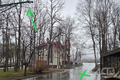 Наезд самокатчика на ребёнка в парке Южно-Сахалинска