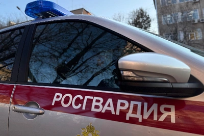 В Приамурье задержали подозреваемого в незаконной лесозаготовке