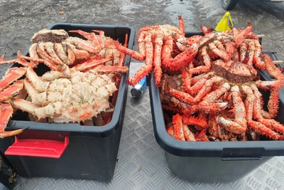 Незаконная продажа краба пресечена в Долинском районе