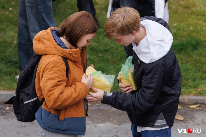Куски тыквы можно было запросто принять за сыр | Источник: Алексей Волхонский / V1.RU