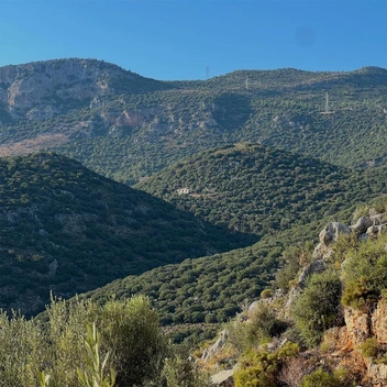 Ликийская тропа — один из самых известных трекинговых маршрутов | Источник: Елизавета Пенкина