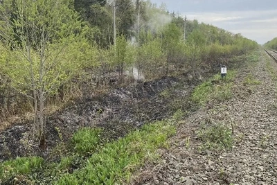Пожар у железной дороги потушили в селе Новое