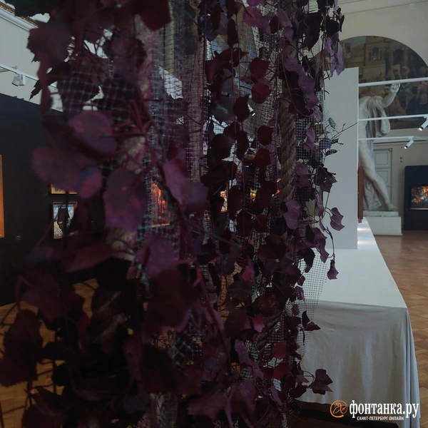 Источник: Анастасия Семенович / «Фонтанка.ру»