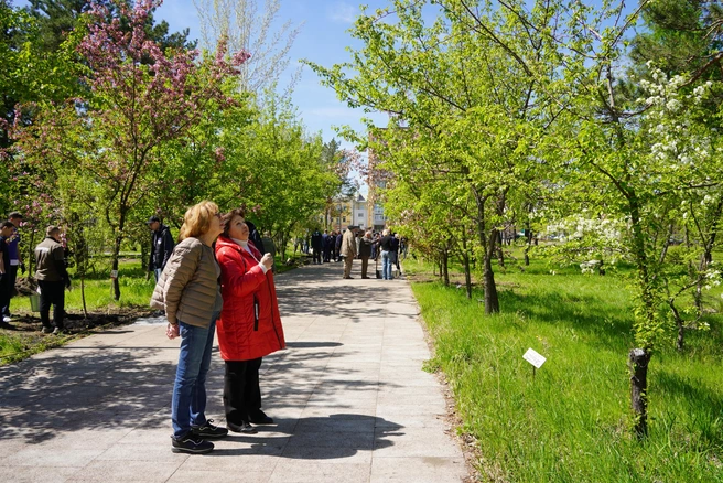 Красноярск стал одним из первых городов в стране, где депутаты присвоили ветеранам звания «Почетный гражданин» | Источник: РУСАЛ