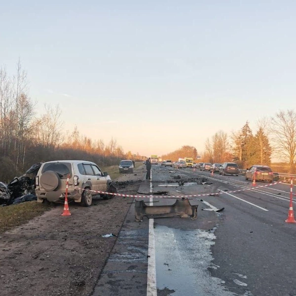 На трассе под Великим Новгородом страшное ДТП. Есть погибшие, в том числе грудной ребенок | Источник: Управление Госавтоинспекции УМВД России по Новгородской области / Telegram