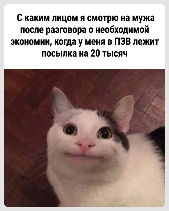 Как сказать-то… | Источник: Городские медиа