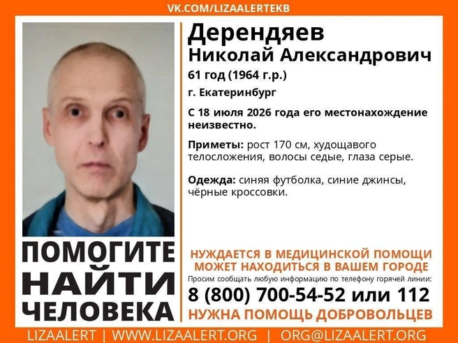 При обнаружении похожего человека звоните по указанным телефонам | Источник: «ЛизаАлерт»