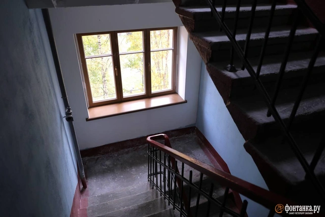 Источник: Дарья Драй / «Фонтанка.ру»