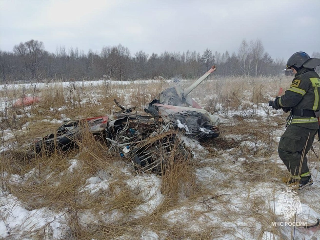 Источник: МЧС Нижегородской области 