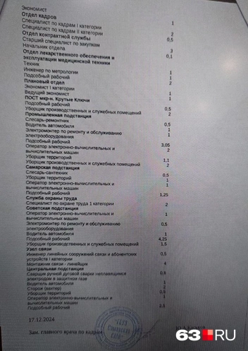 undefined Список внушительный, но нет ничего, что было бы связано с работой врача или фельдшера СМП | Источник: читатель 63.RU