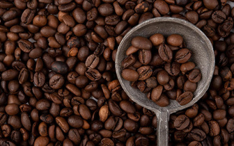 Кофе возрастом более полумиллиона лет: как появился популярный сорт арабика