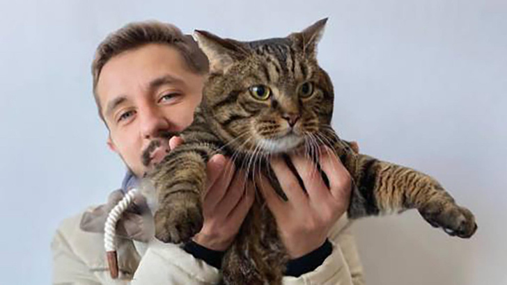 Не только кот Твикс: 7 историй про кошек, которые разобьют вам сердце