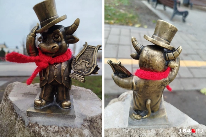 Бычок-театрал уже укутан к зиме | Источник: Семен Коротов-Майбах / 164.RU