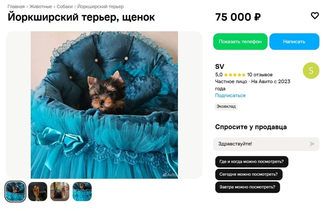 Источник: «Авито»