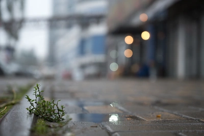 Погода в Ростовской области 11 декабря: небольшие дожди