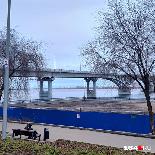 Источник: Сергей Гендин / 164.RU