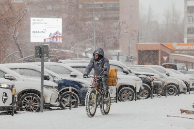 Тюменка: сервис доставки привез туалетную бумагу вместо еды