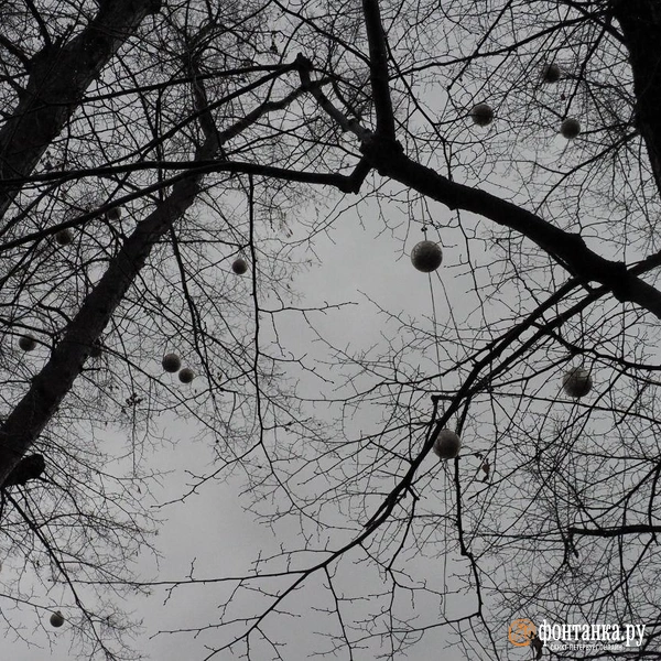 Источник: Михаил Огнев / «Фонтанка.ру»