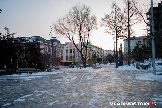 Источник: Елена Буйвол / VLADIVOSTOK1.RU