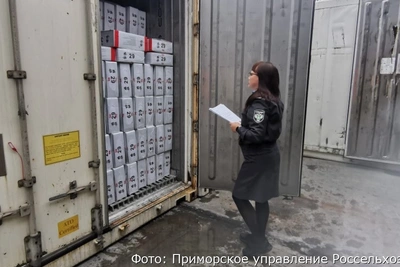 На Камчатке и Чукотке создано управление Россельхознадзора