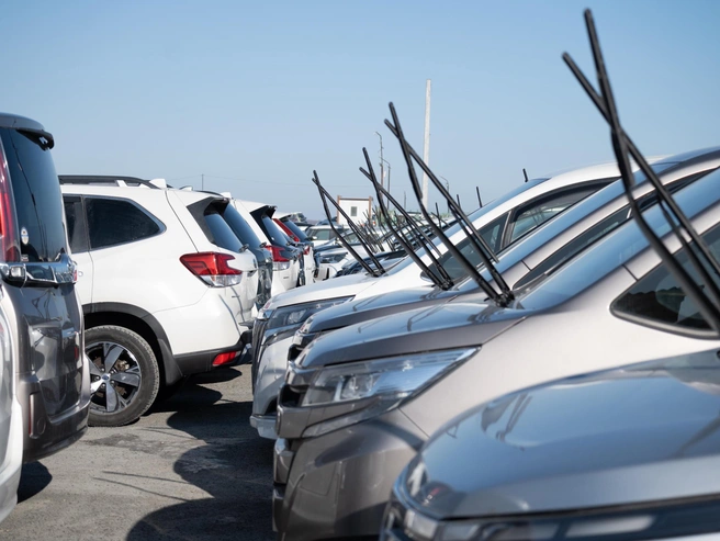 Из-за предстоящих изменений резко увеличился интерес к импортным автомобилям | Источник: Елена Буйвол / VLADIVOSTOK1.RU