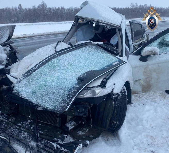 Источник: СУ СК РФ по Оренбургской области / t.me