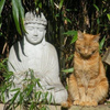 userpic__ната