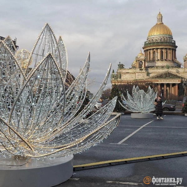 Источник: Михаил Огнев / «Фонтанка.ру»