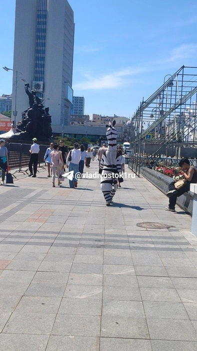 Источник: Никита Авдеев / VLADIVOSTOK1.RU