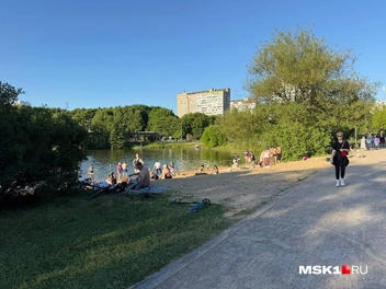 Здесь в жаркий день в воду заходят все: взрослые, дети, собаки и утки | Источник: Иветта Авраамова / MSK1.RU