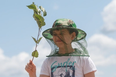 Сезон мошки в Волгограде: советы по защите от кровососов