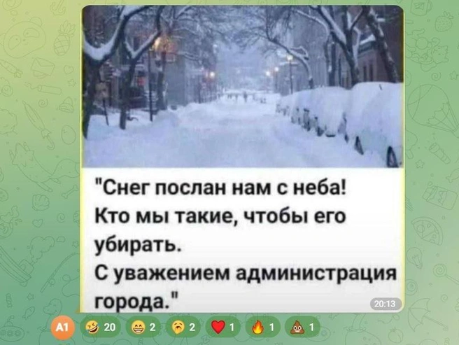 Источник: Новости Ростова | 161.RU / Telegram.org