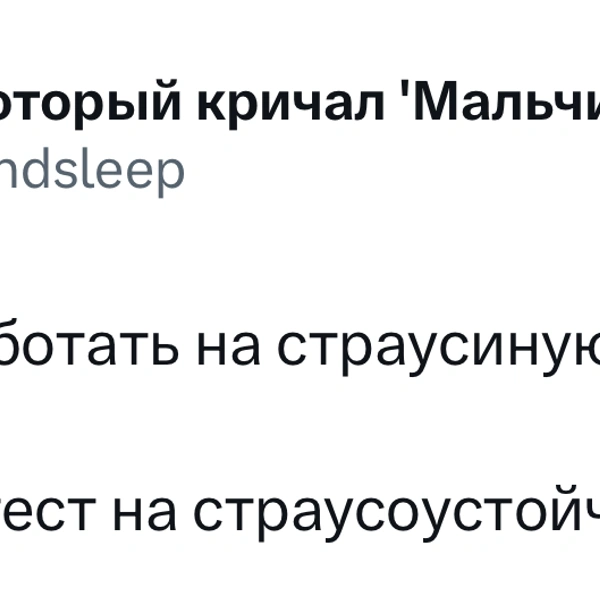 Источник: X (Twitter)