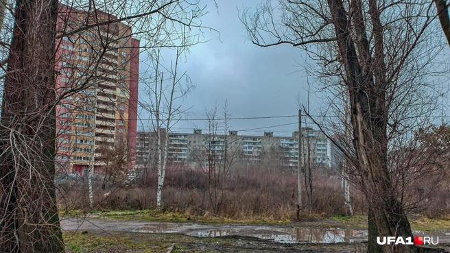 То ли погода сказывается, то ли район сам по себе производит тоскливое впечатление | Источник: Булат Салихов / UFA1.RU