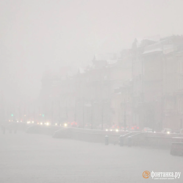 Источник: Сергей Михайличенко / «Фонтанка.ру»