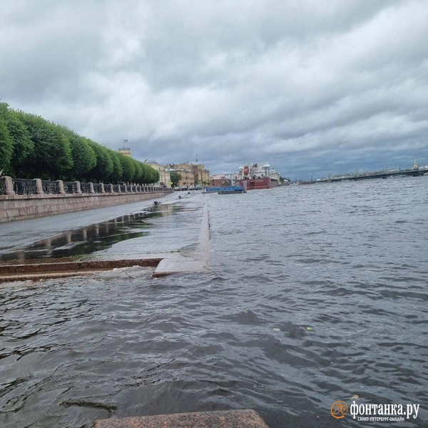 Источник: читательница «Фонтанки» Елена