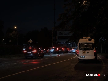 Пробка на заправку растянулась больше чем на 250 метров | Источник: Михаил Мечев / MSK1.RU