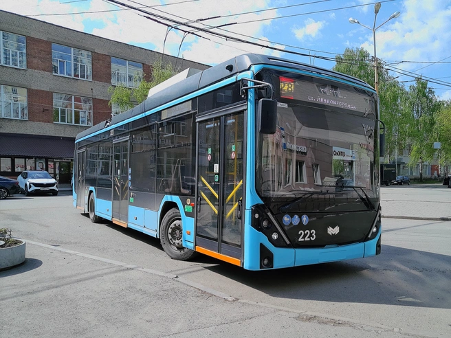 Источник: Роман Марьяненко / E1.RU