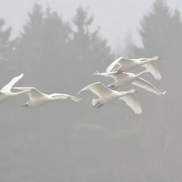 Источник: вице-губернатор Петербурга Алексей Корабельников