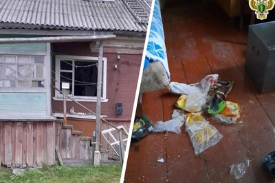 Медведи продолжают выходить к людям в Поморье